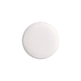 Assiettes plates