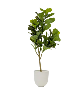 Plante artificielle