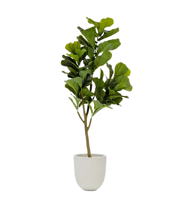 Plante artificielle
